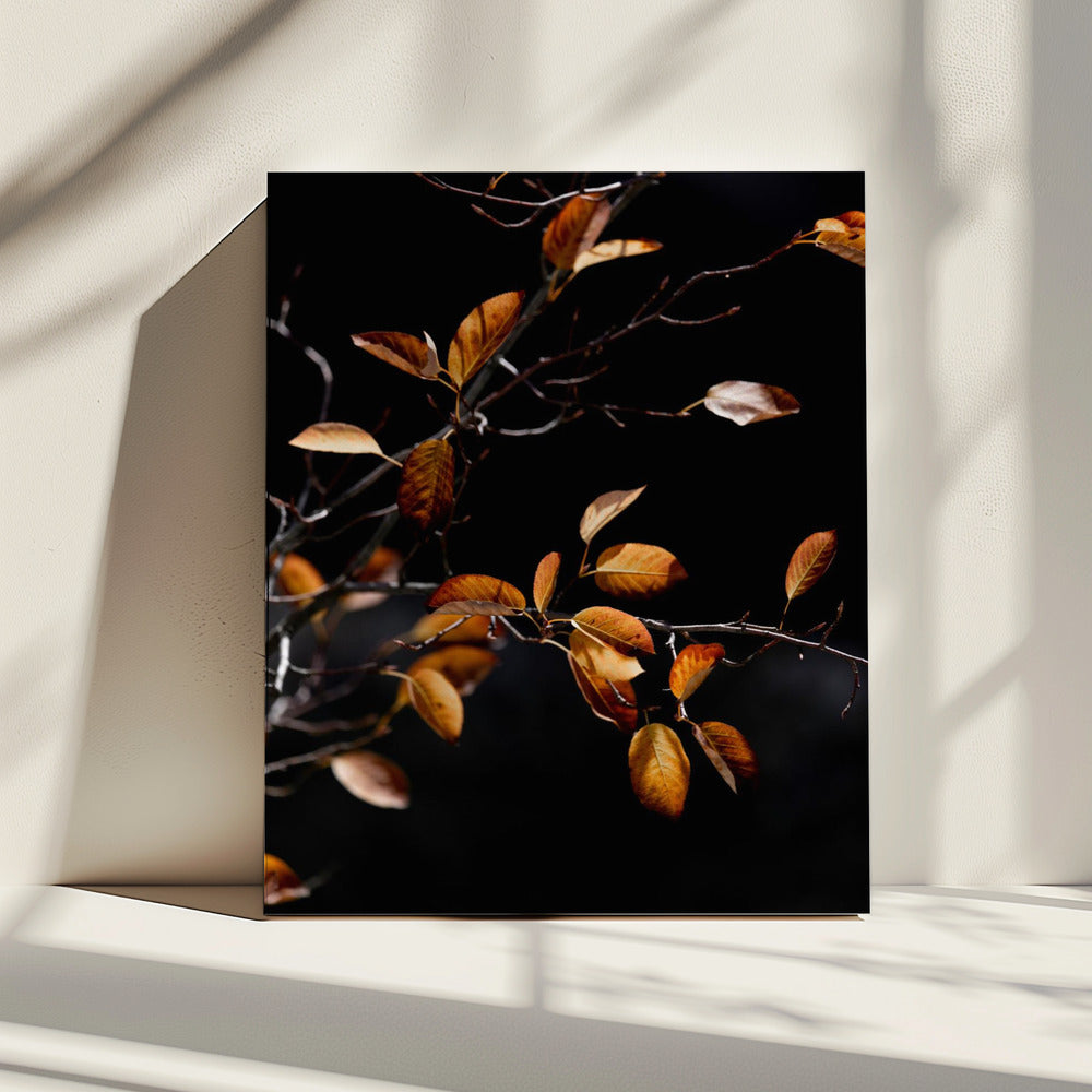 Autumn Leaves 15 | Canvas