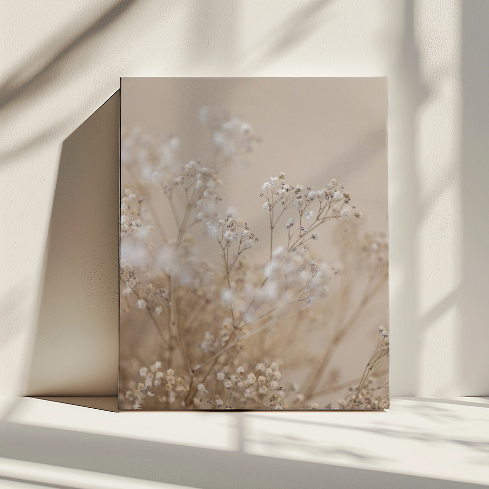 Babys Breath 1 | Canvas