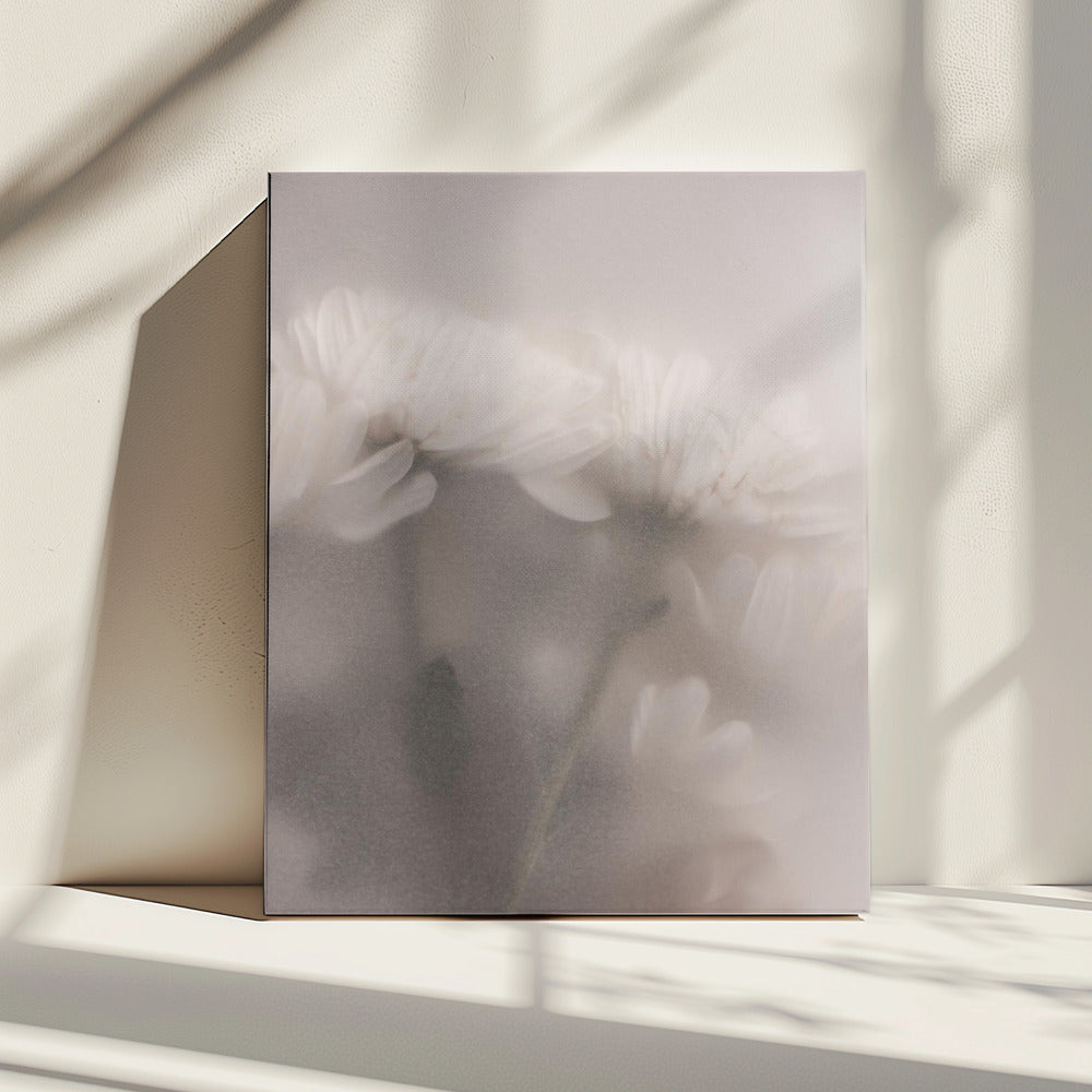 Blurred Flowers 2 | Canvas