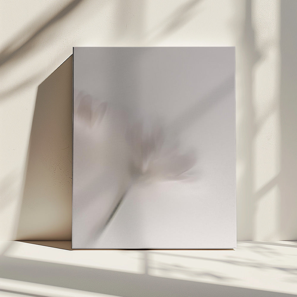 Blurred Flowers 1 018a5454 | Canvas