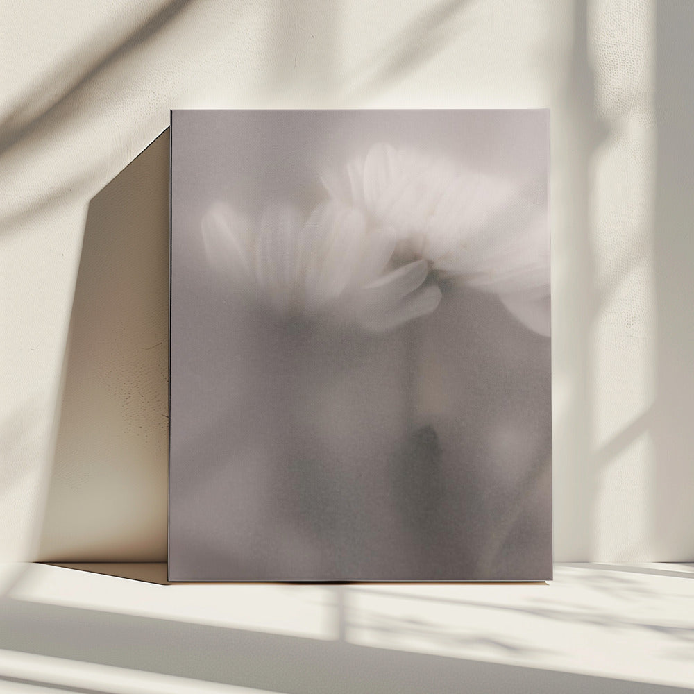 Blurred Flowers 3 | Canvas