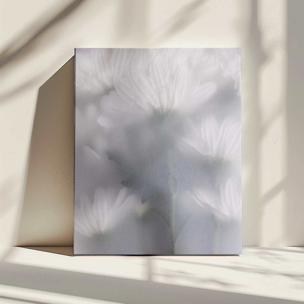Blurred Flowers 6 | Canvas