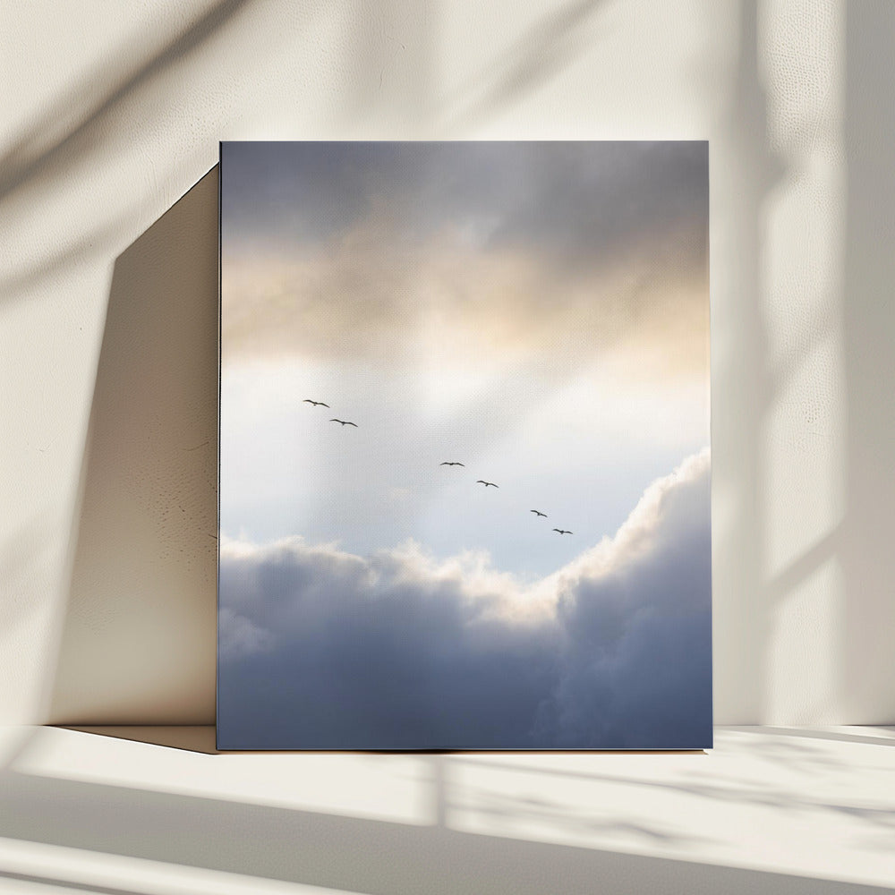Flying High 10 | Canvas