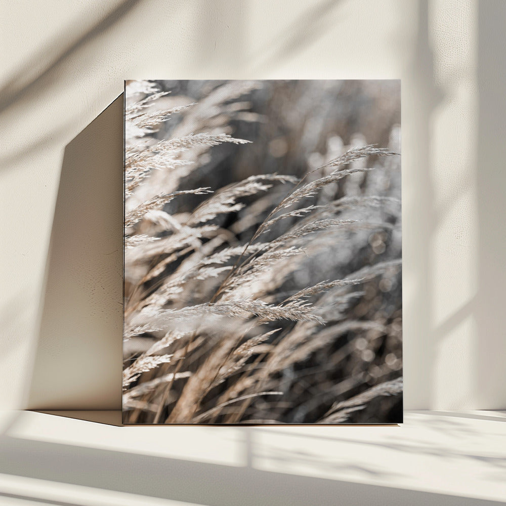 Grass 28 | Canvas