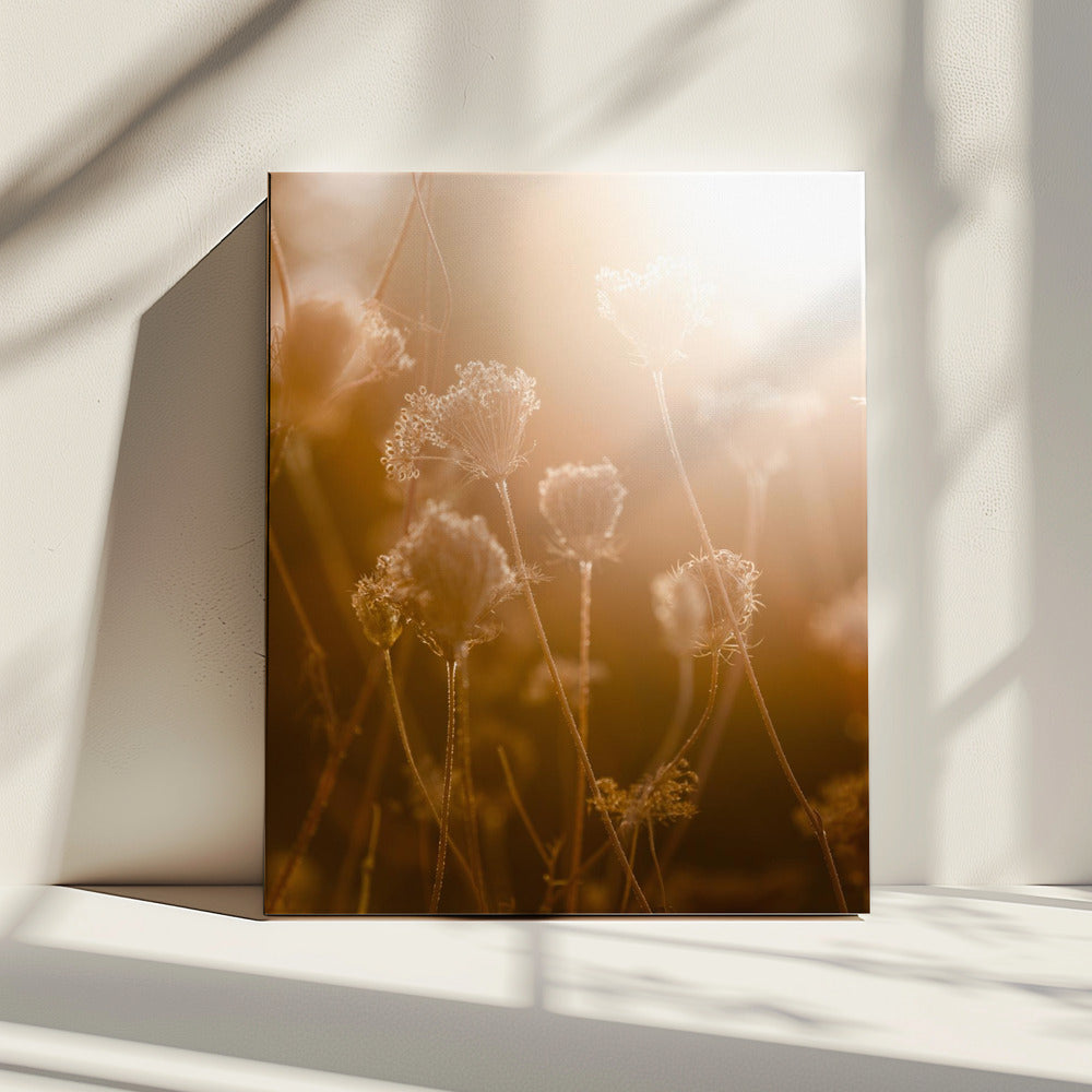 Golden Hour 1 | Canvas