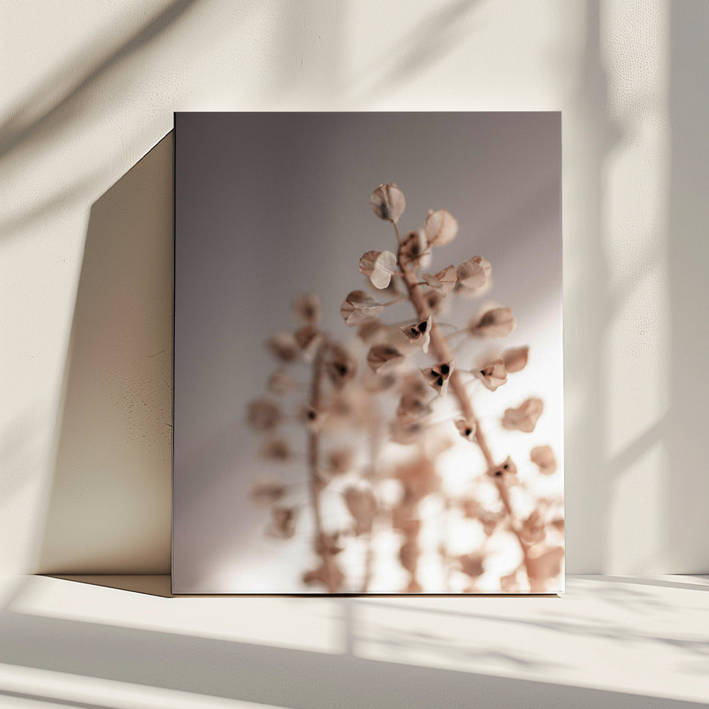 Last Summer 32 | Canvas