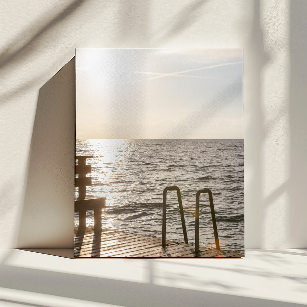 Summer Morning Swim | Canvas