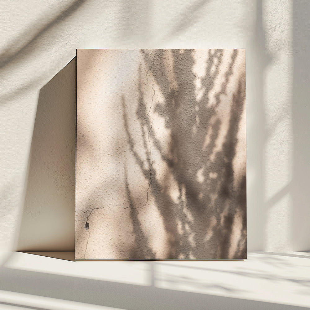 Summer Shadows 7 | Canvas