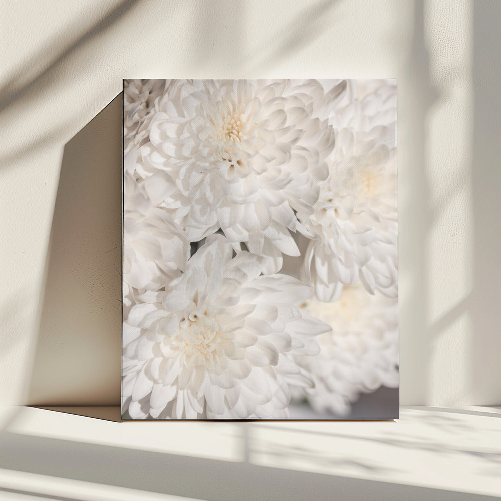 White Flowers 2 | Canvas