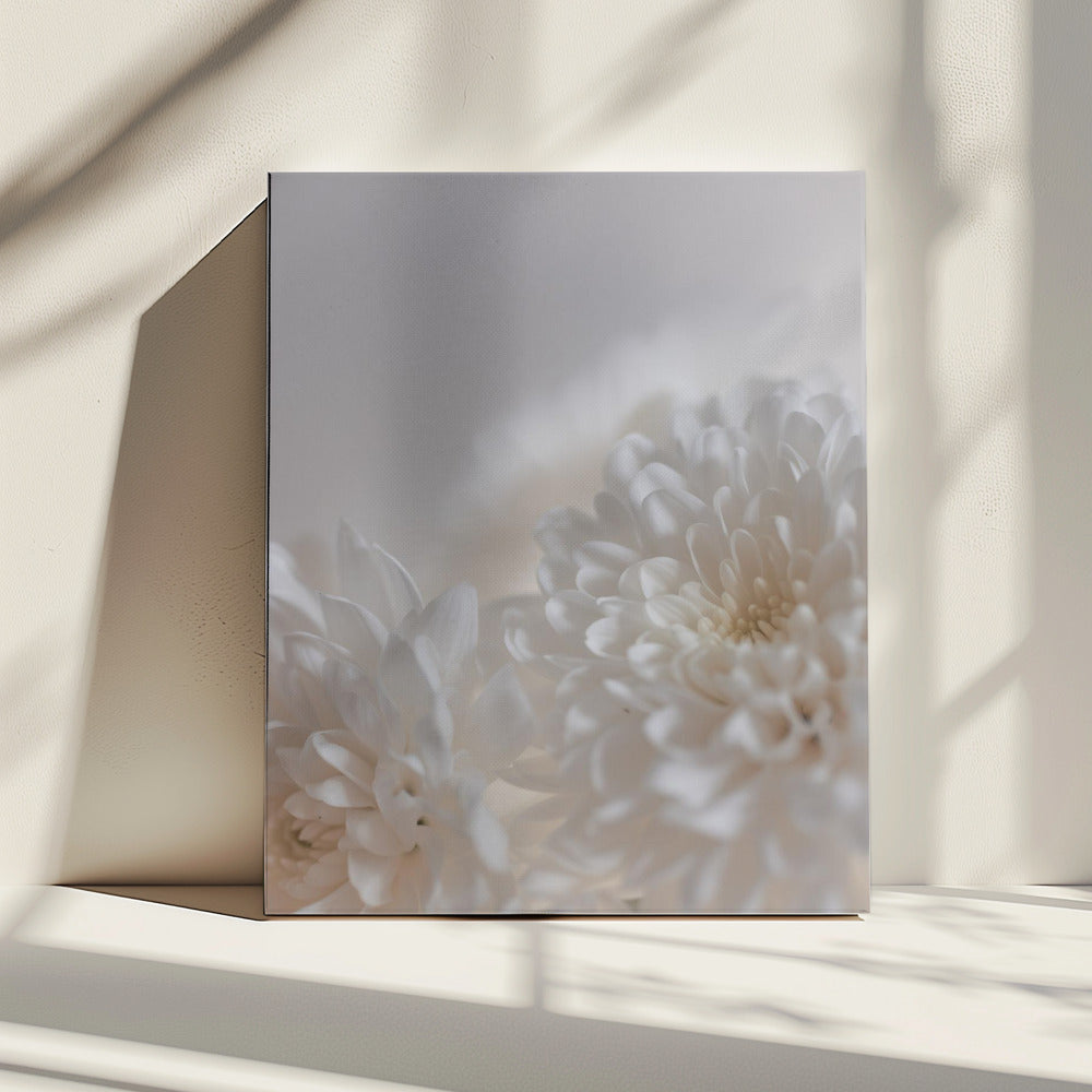 White Flowers 3 | Canvas