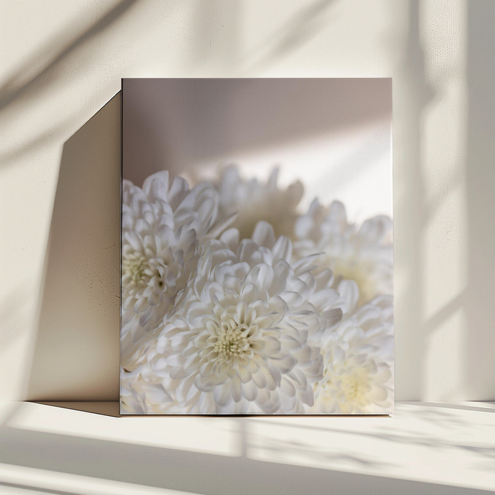 White Flowers 6 | Canvas