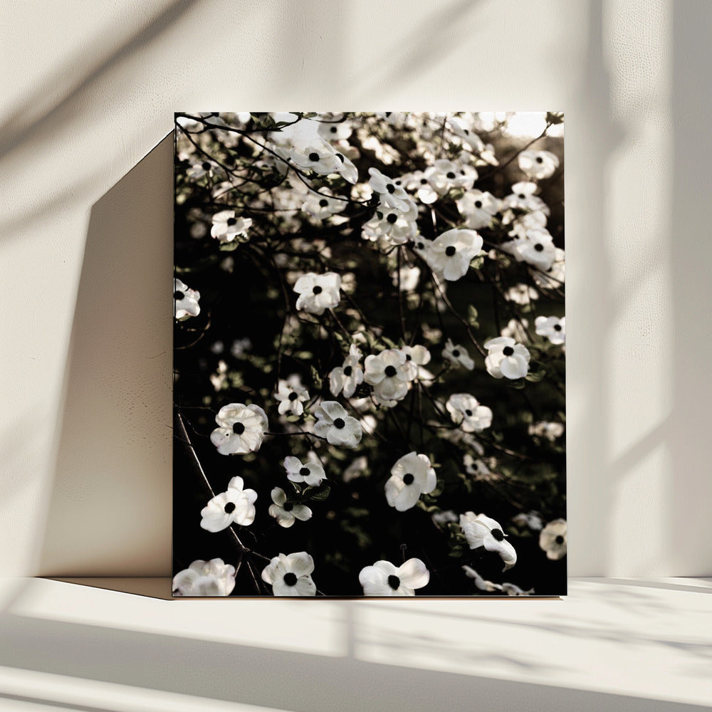 White Spring Tree 5 | Canvas