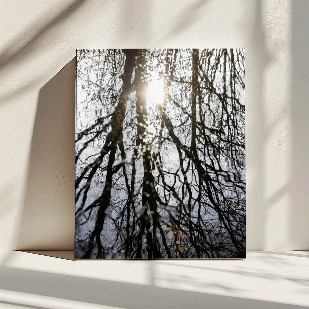Winter Reflections 4 | Canvas