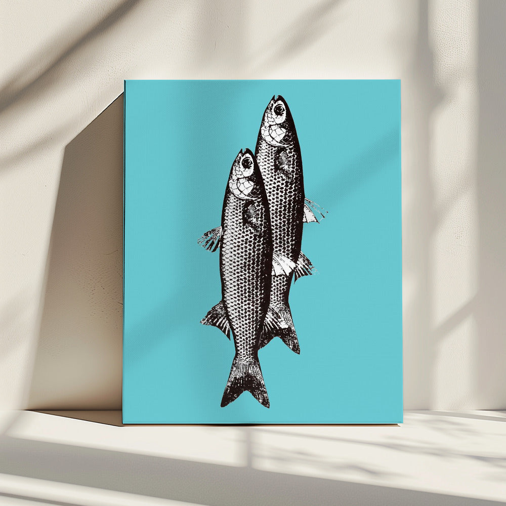 Sardinas | Canvas