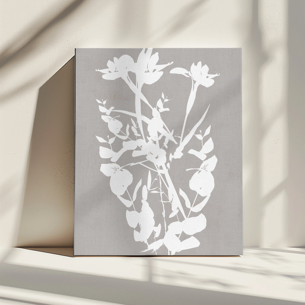 Botanical Illustration 1 | Canvas