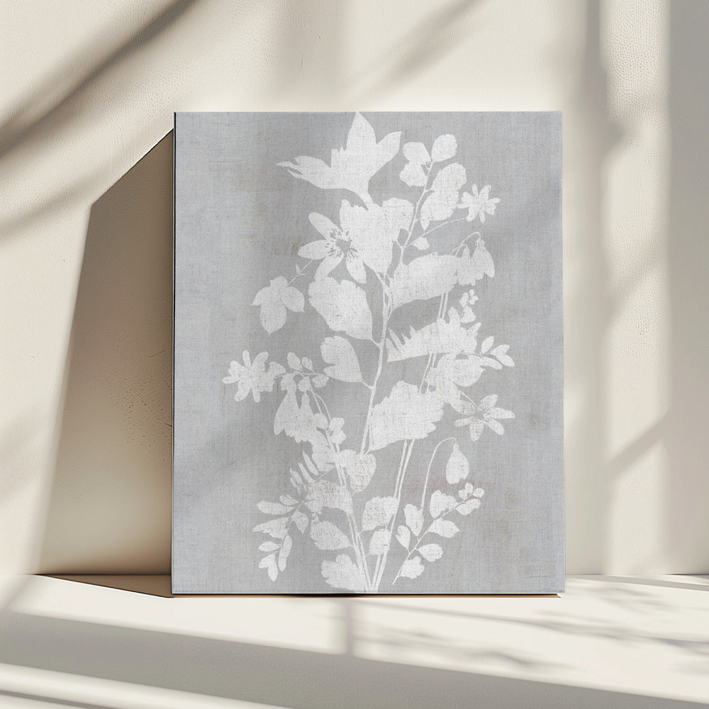 Botanical Illustration 2 | Canvas