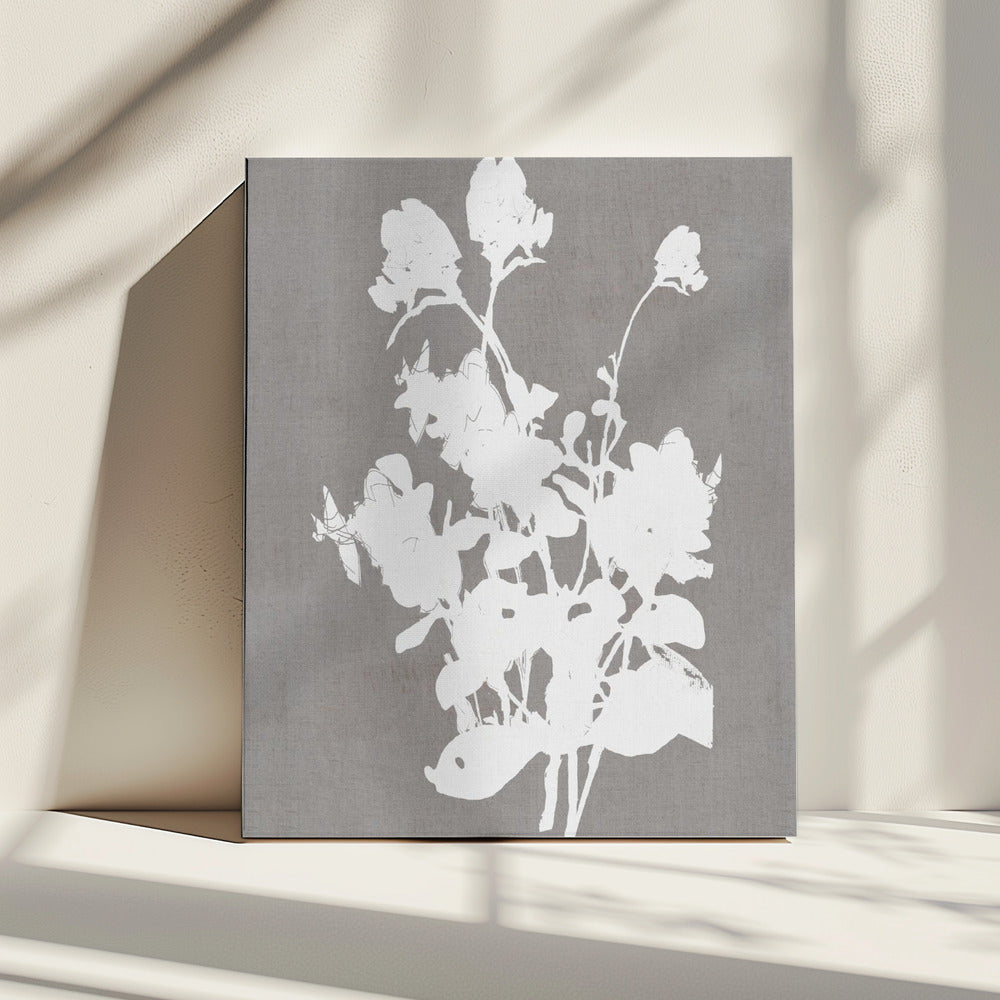Botanical Illustration 3 | Canvas