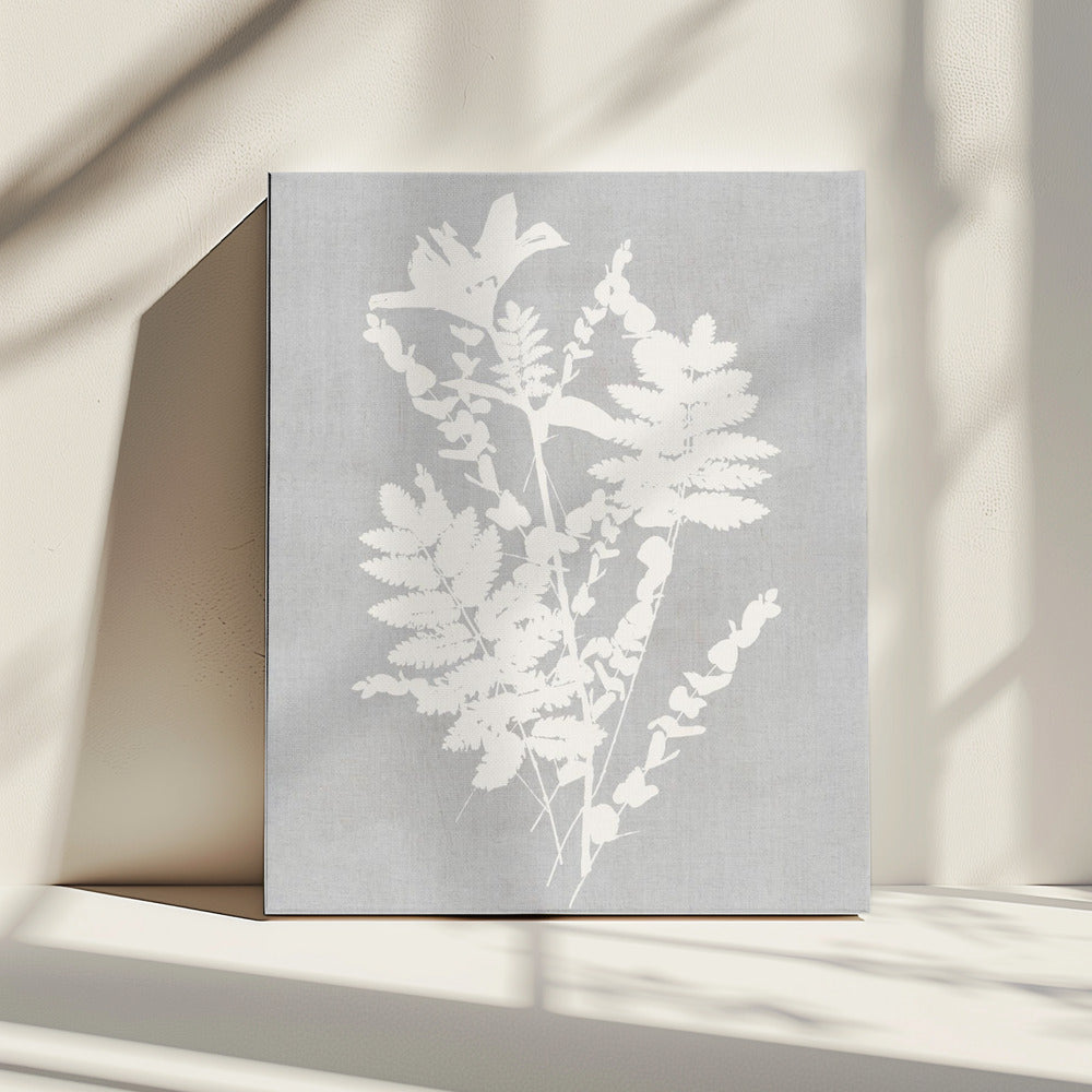 Botanical Illustration 5 | Canvas