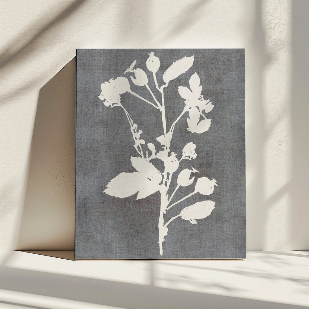 Botanical Illustration 6 | Canvas