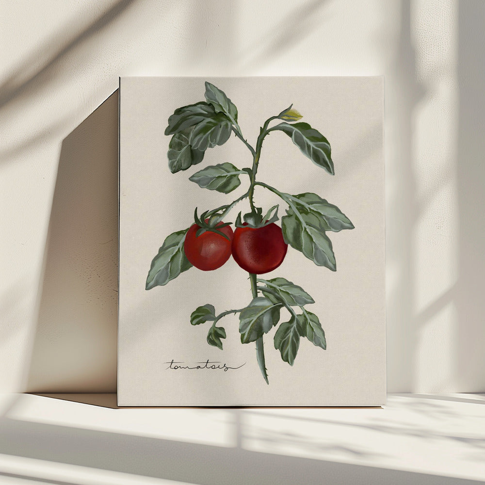 Vintage Garden | Canvas