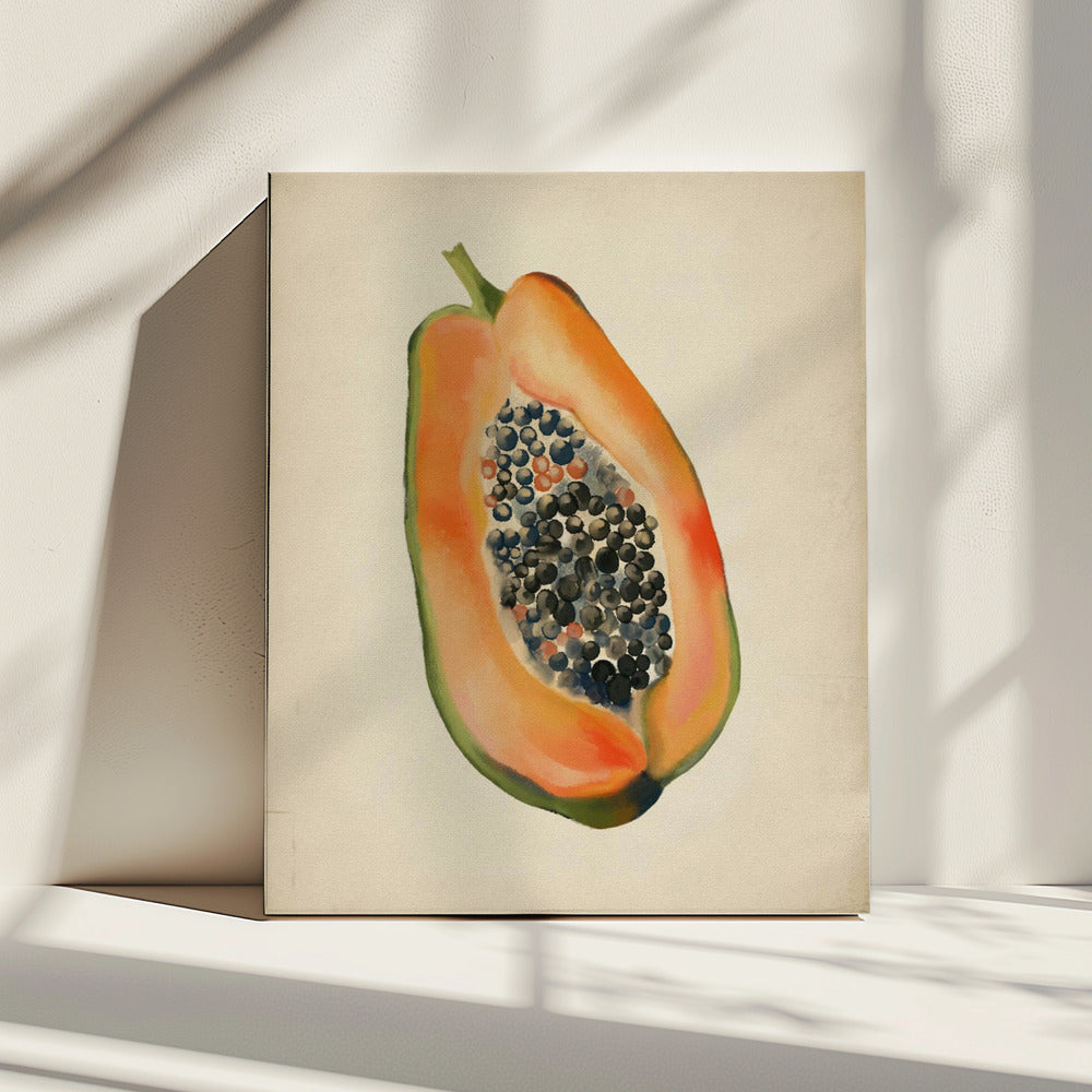 Vintage fruit- Papaya | Canvas