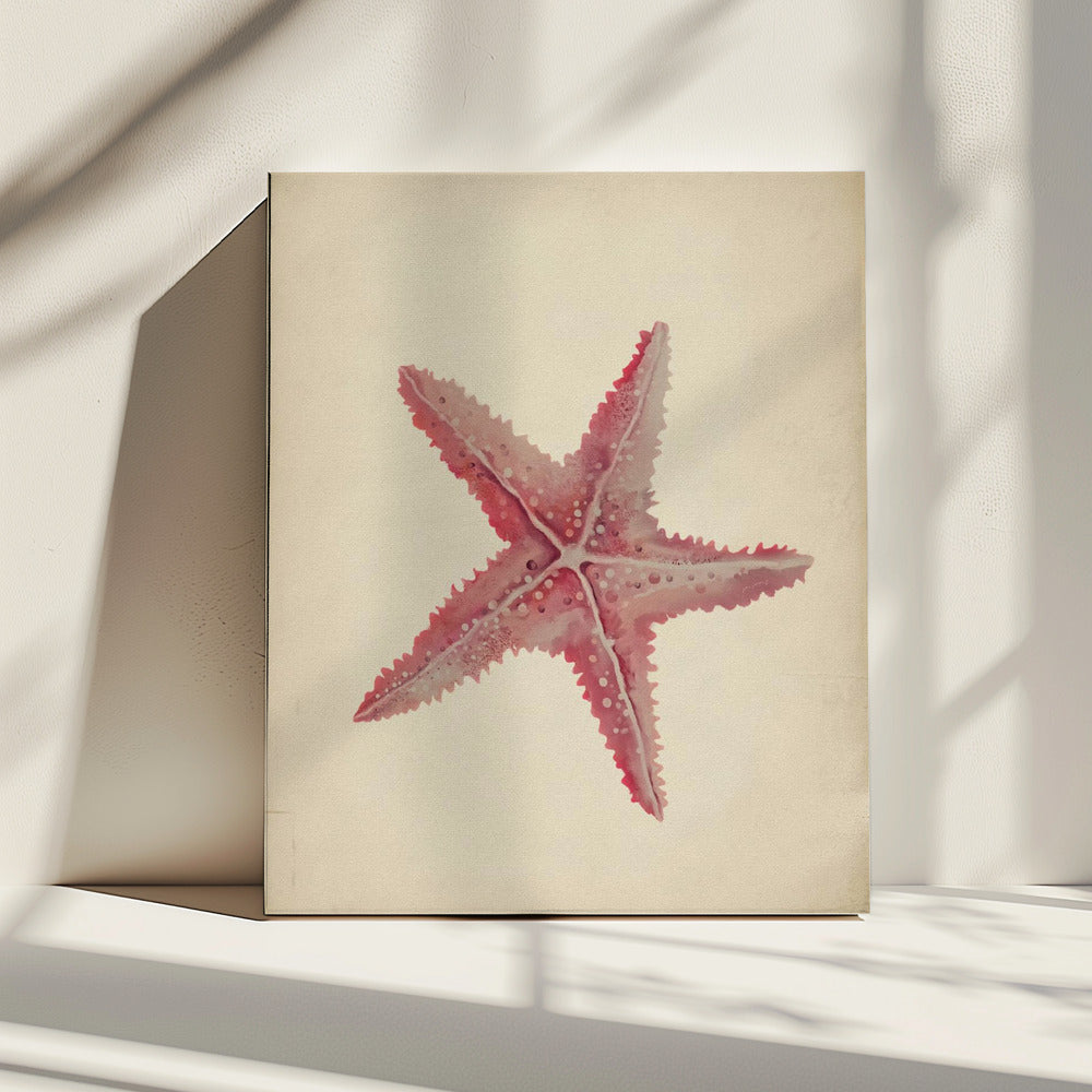 Vintage starfish painting | Canvas