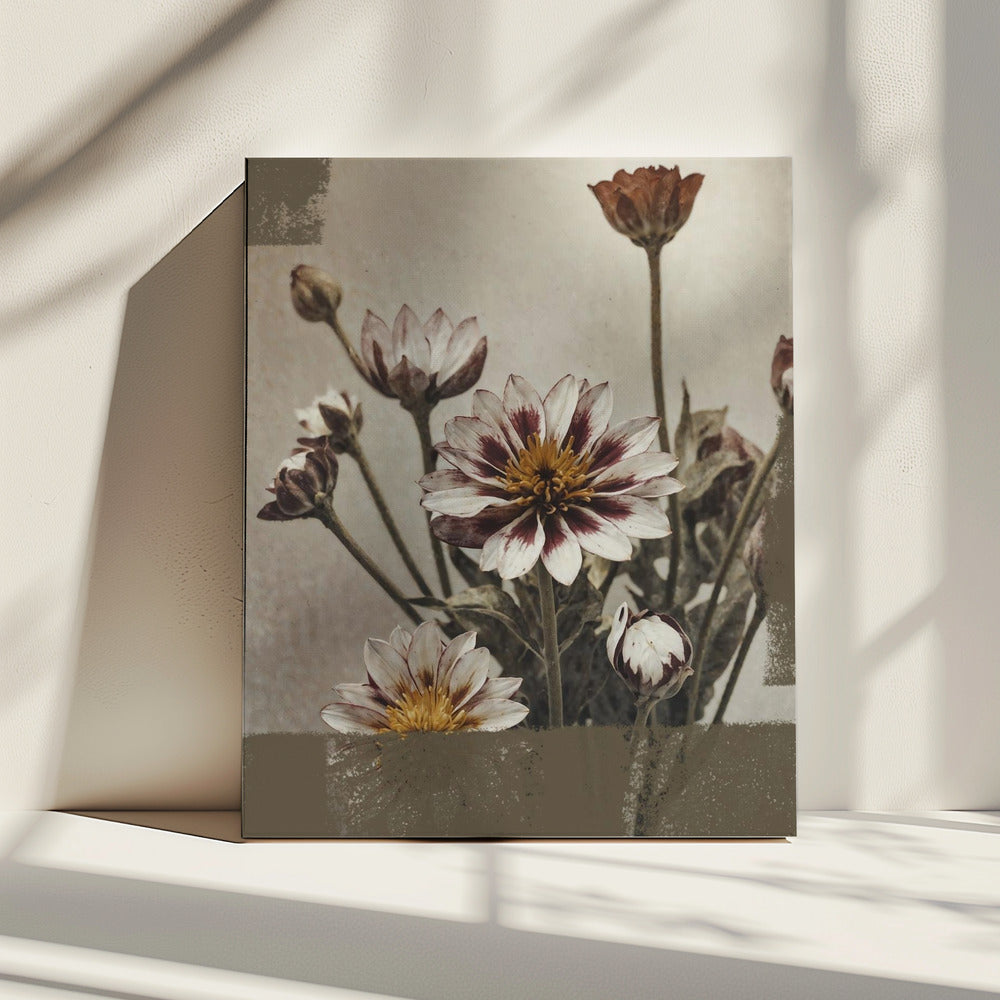 5 Vintage Flowers | Canvas