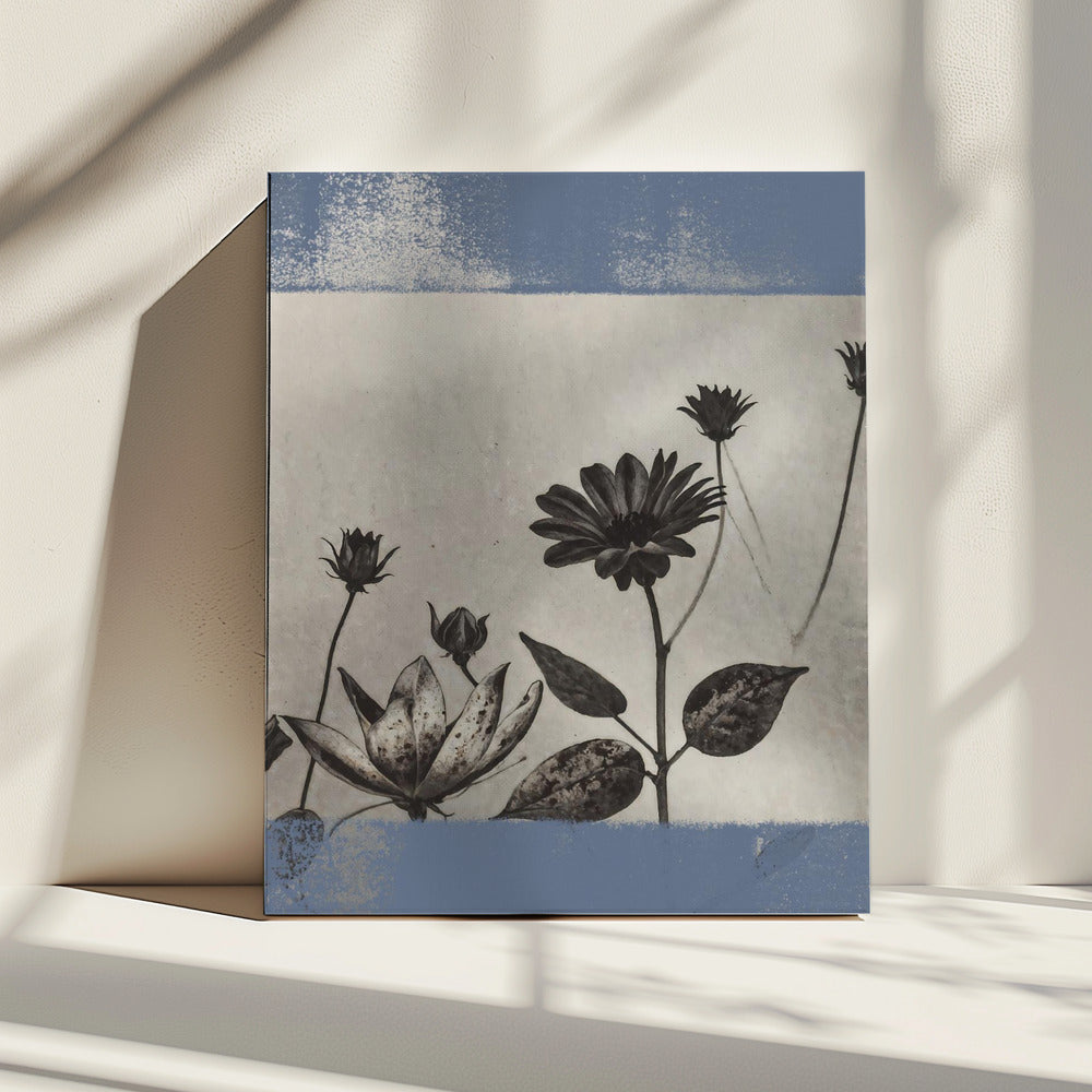 Vintage Flowers No.8 | Canvas