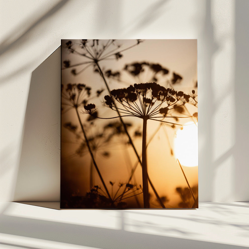 Golden Hour 1 | Canvas