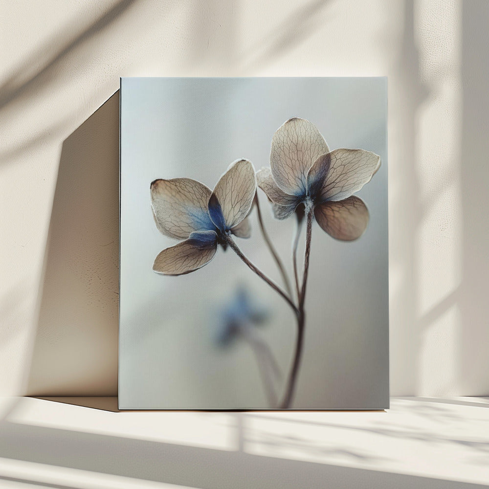 Whispers of Petals | Canvas