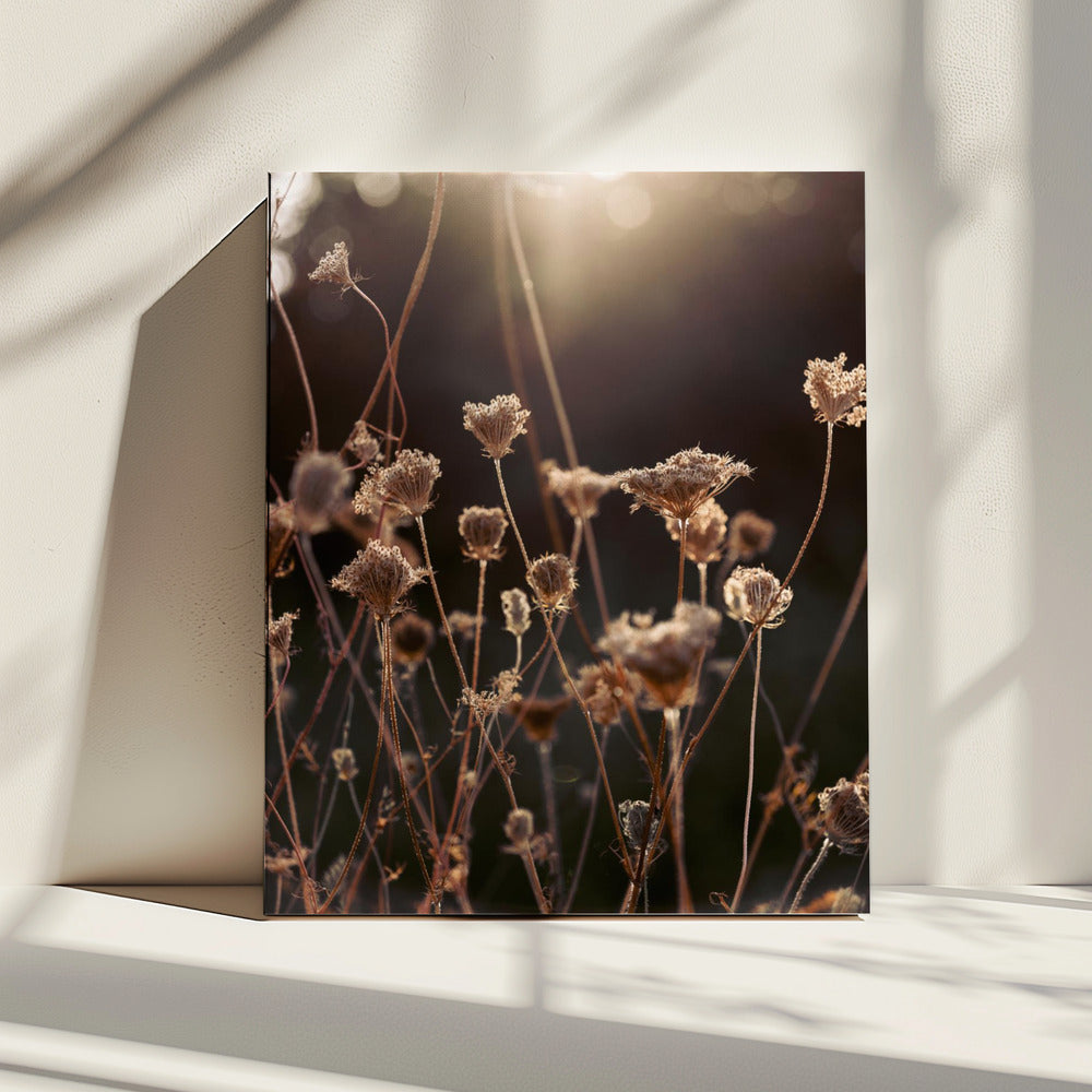 Warm Winter Light 2 | Canvas