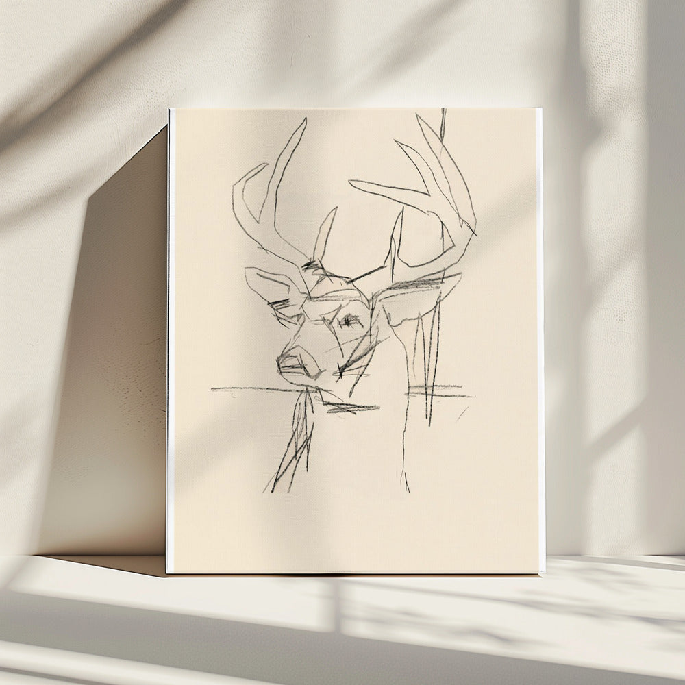 Étude Cerf (stag) No.1 | Canvas