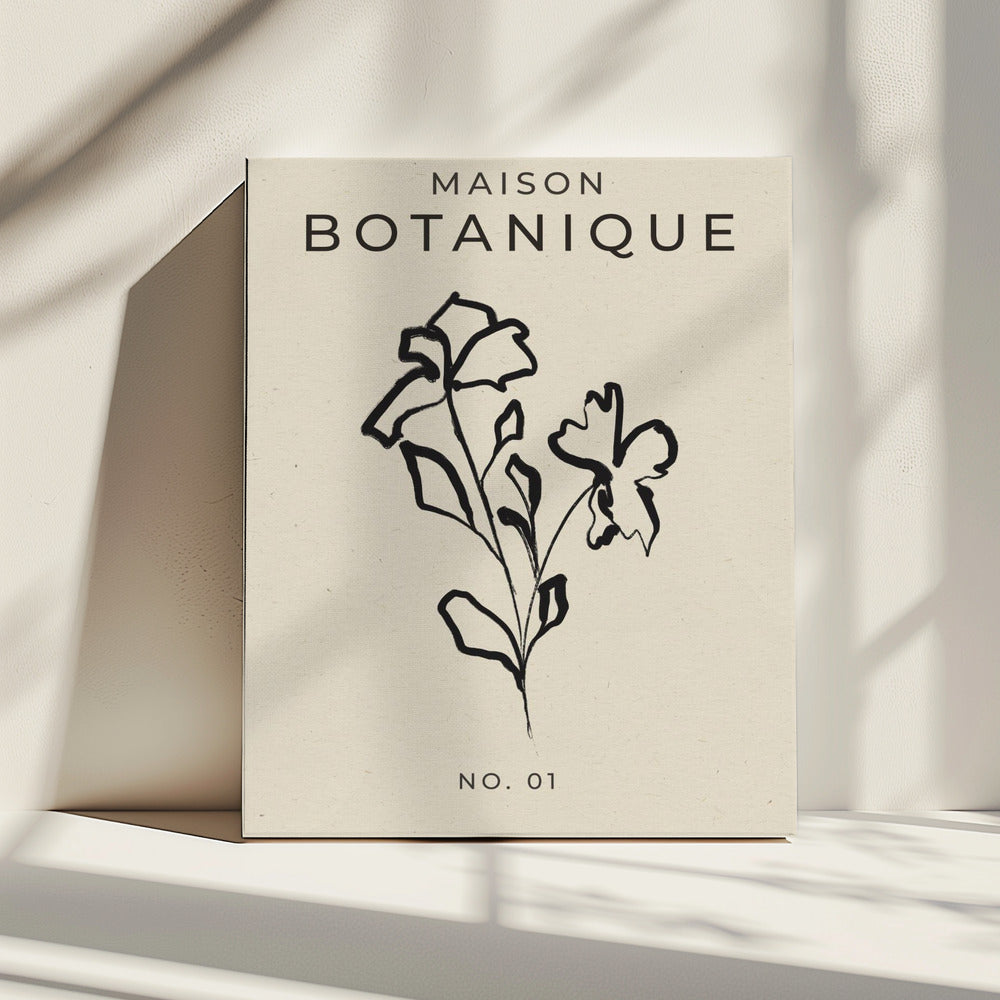 Botanical Sketch | Canvas