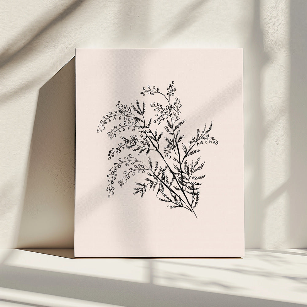 Acacia Botanical Branch | Canvas