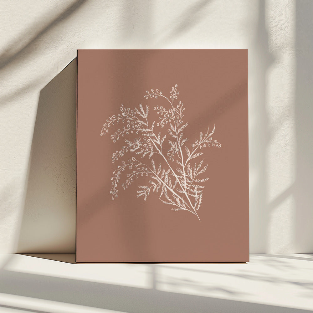 Acacia Botanical Branch | Canvas