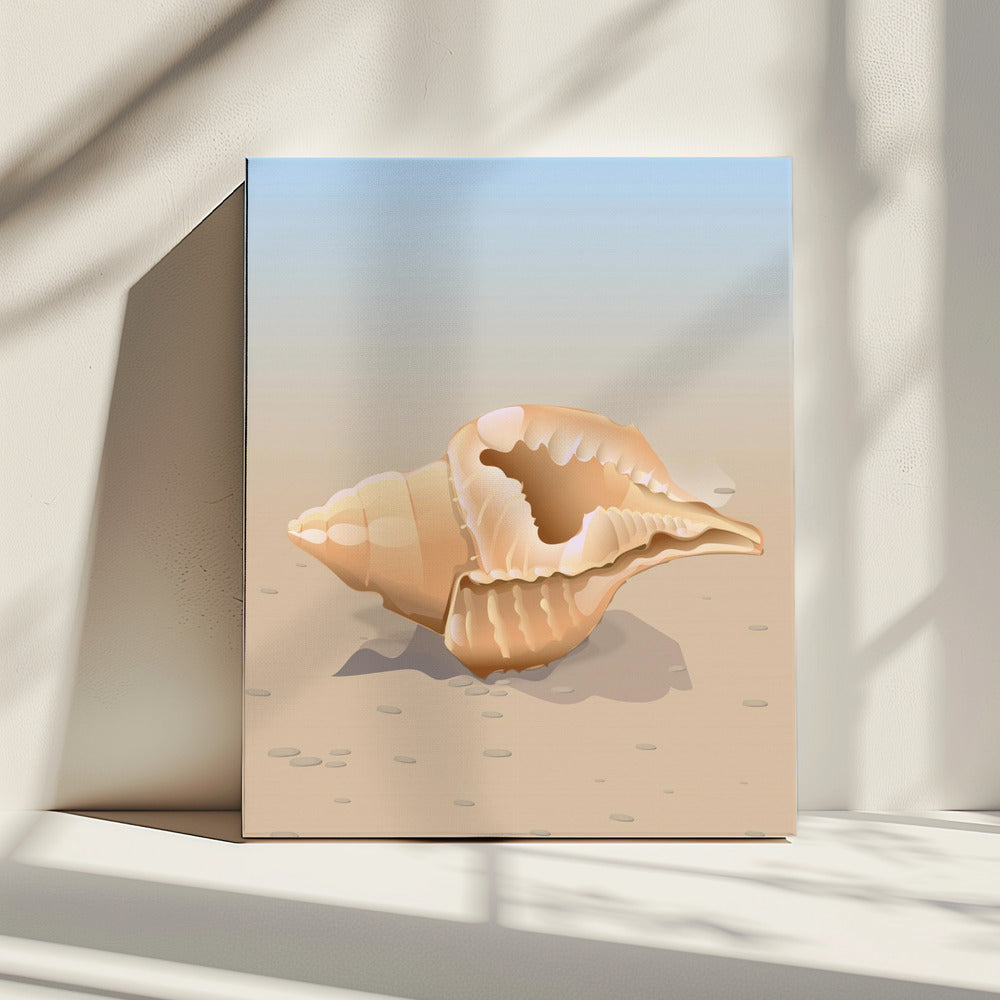 Seaside Shell | Canvas