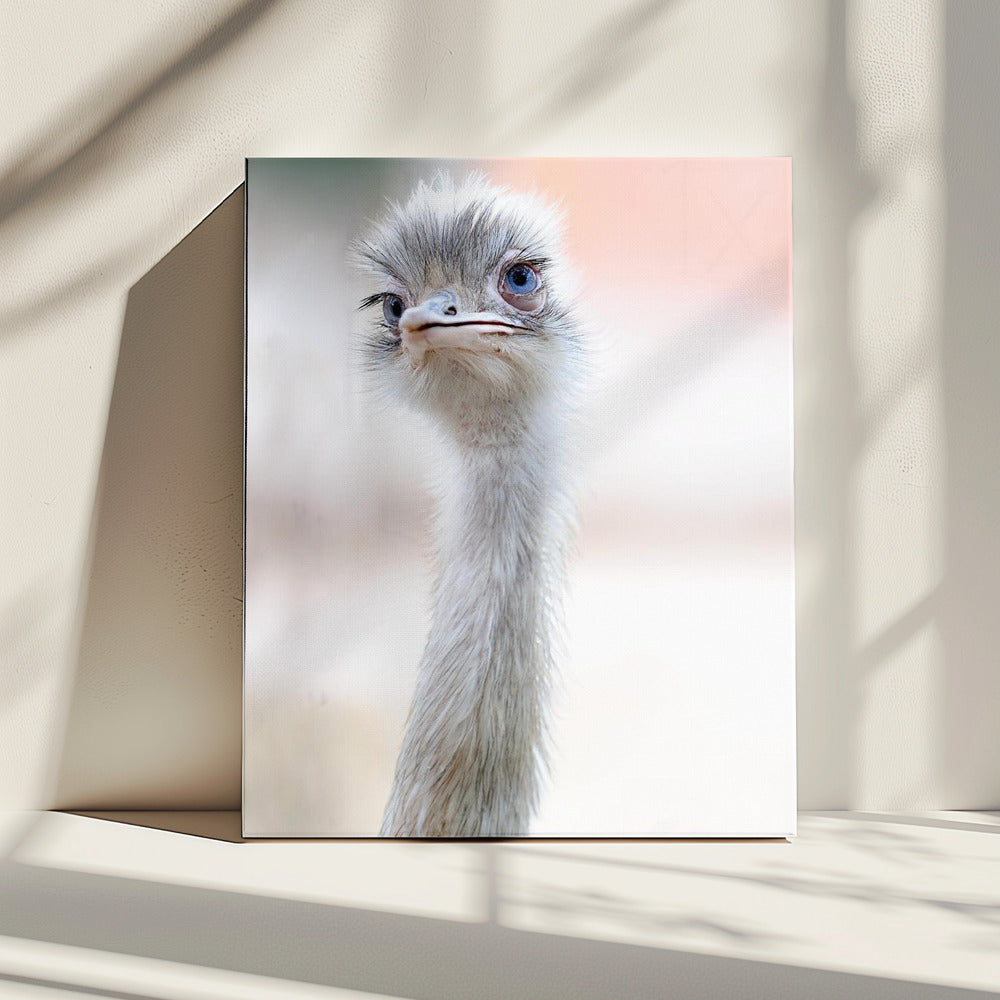 natural beauty | Canvas