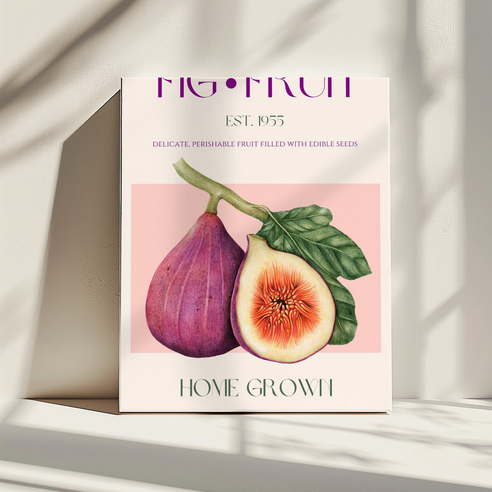 Vintage Fig Delight | Canvas