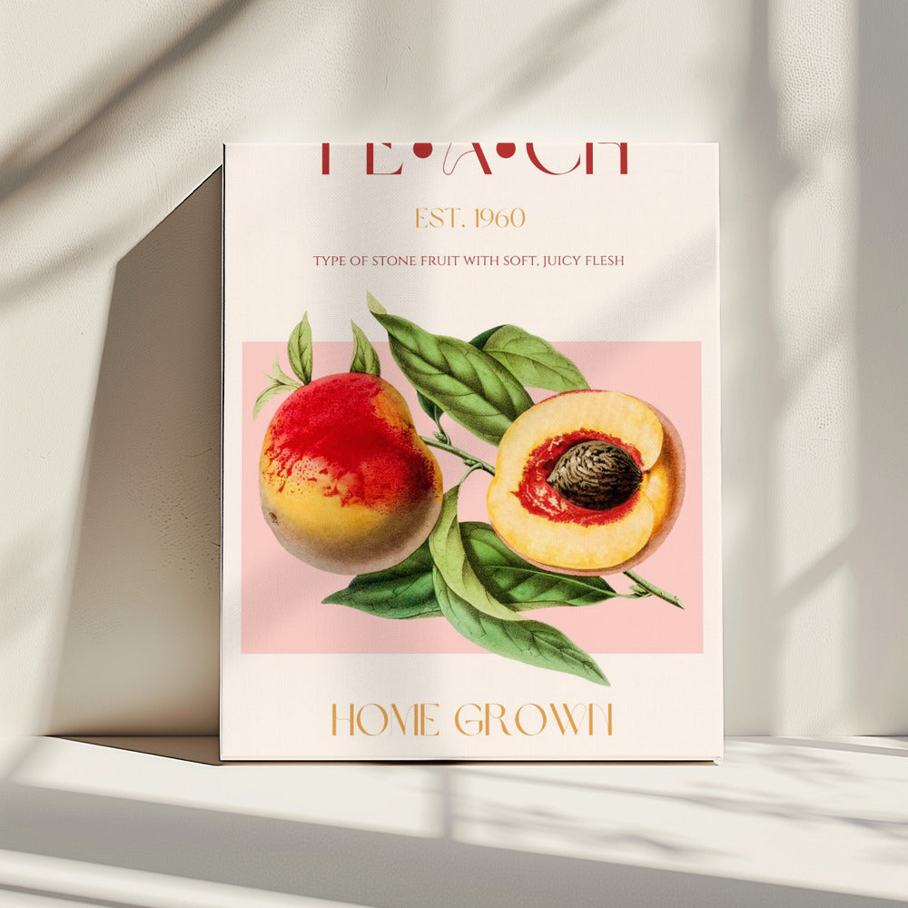 Vintage Style Peach Illustration | Canvas