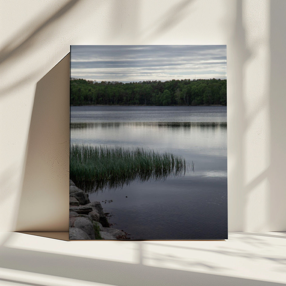 Somewhere In Sweden 2 | Canvas
