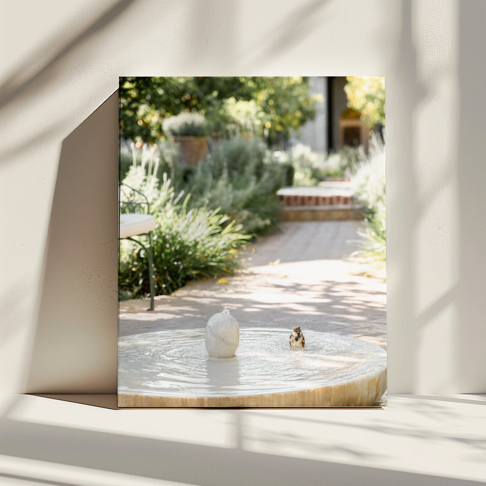 Feathers and Droplets | Canvas