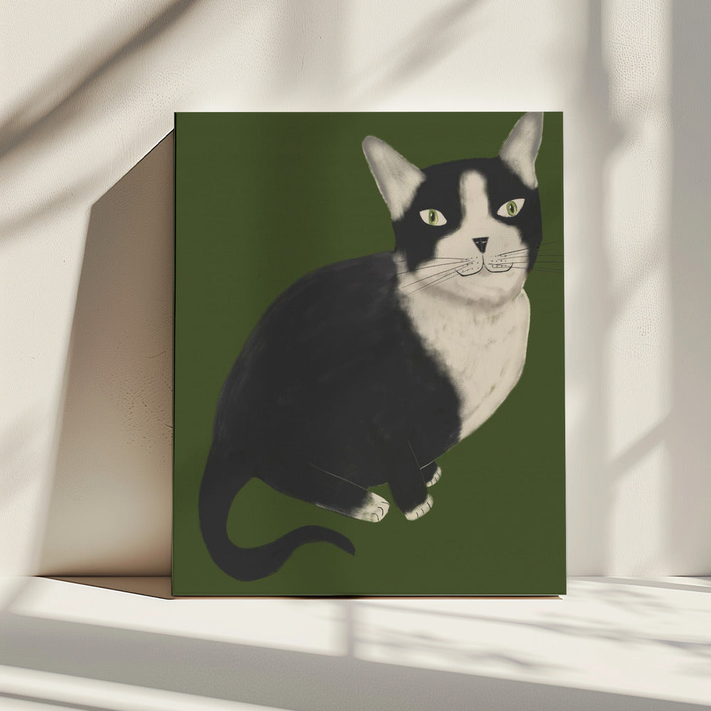 Mr Tuxedo Cat | Canvas