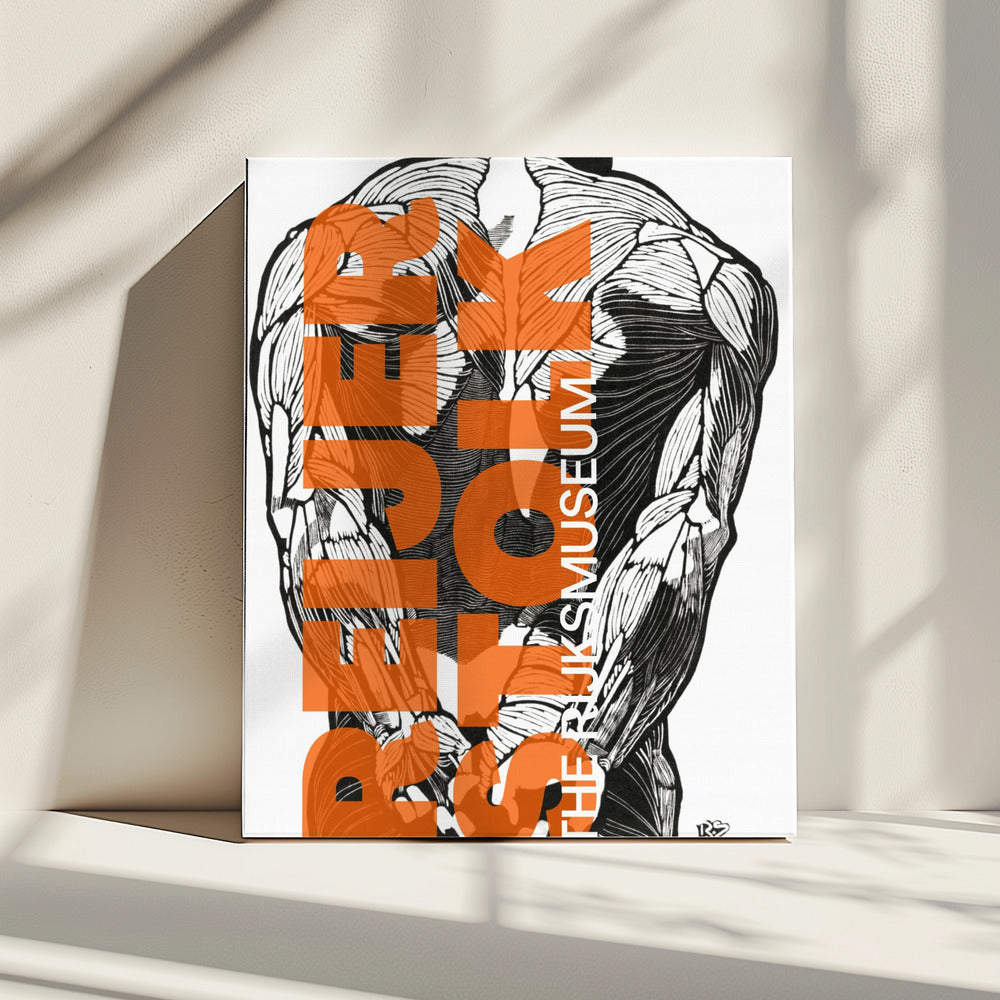 Anatomy Lines | Canvas