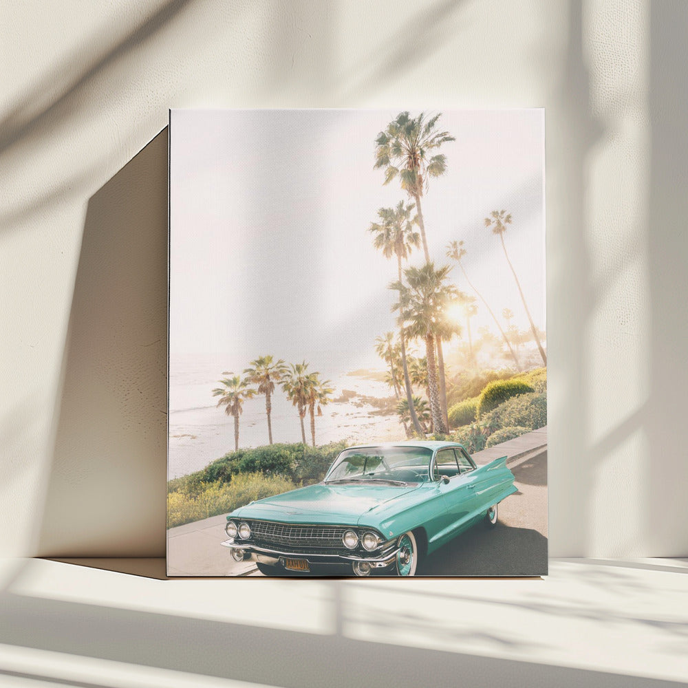 Malibu Classic | Canvas
