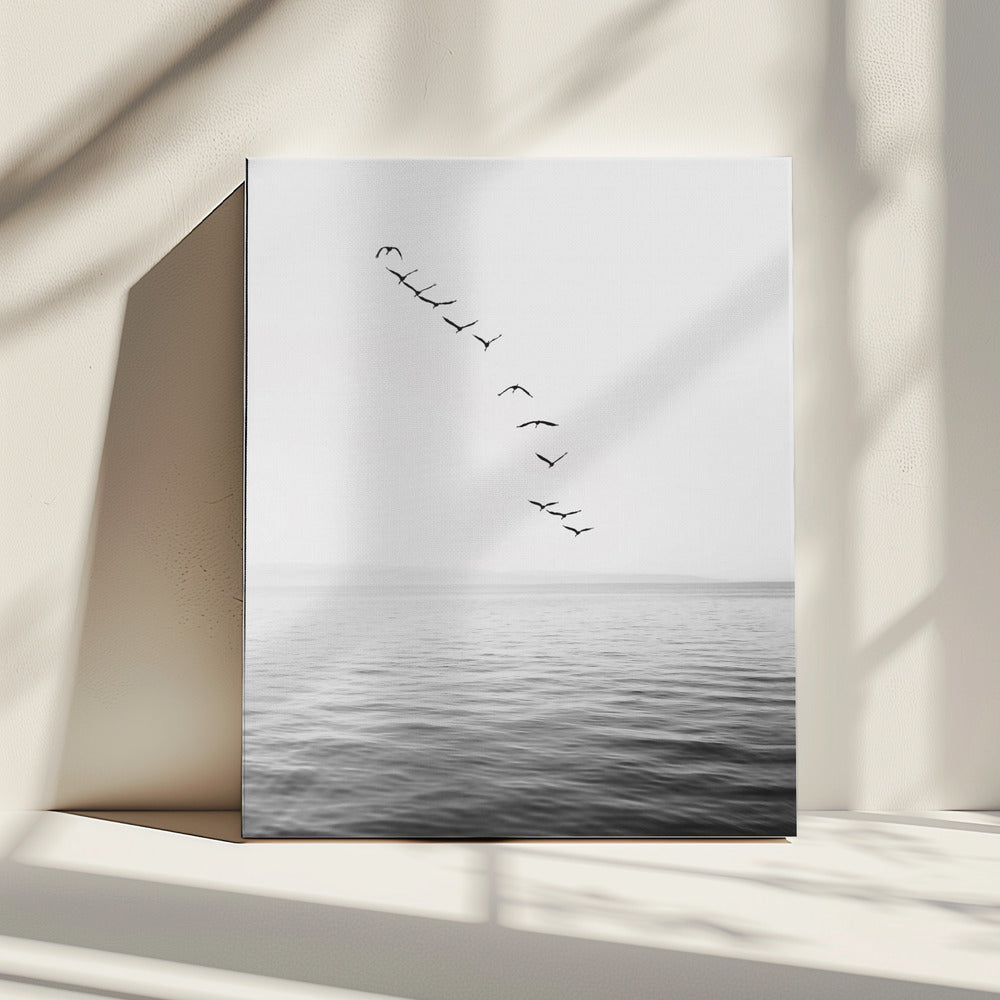 Flying Birds | Canvas