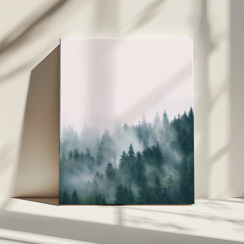 Forest | Canvas