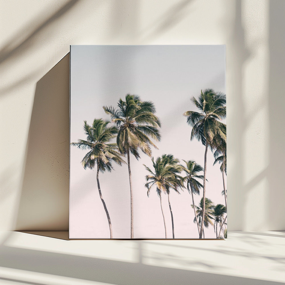 Blush Tropical Trees | Canvas