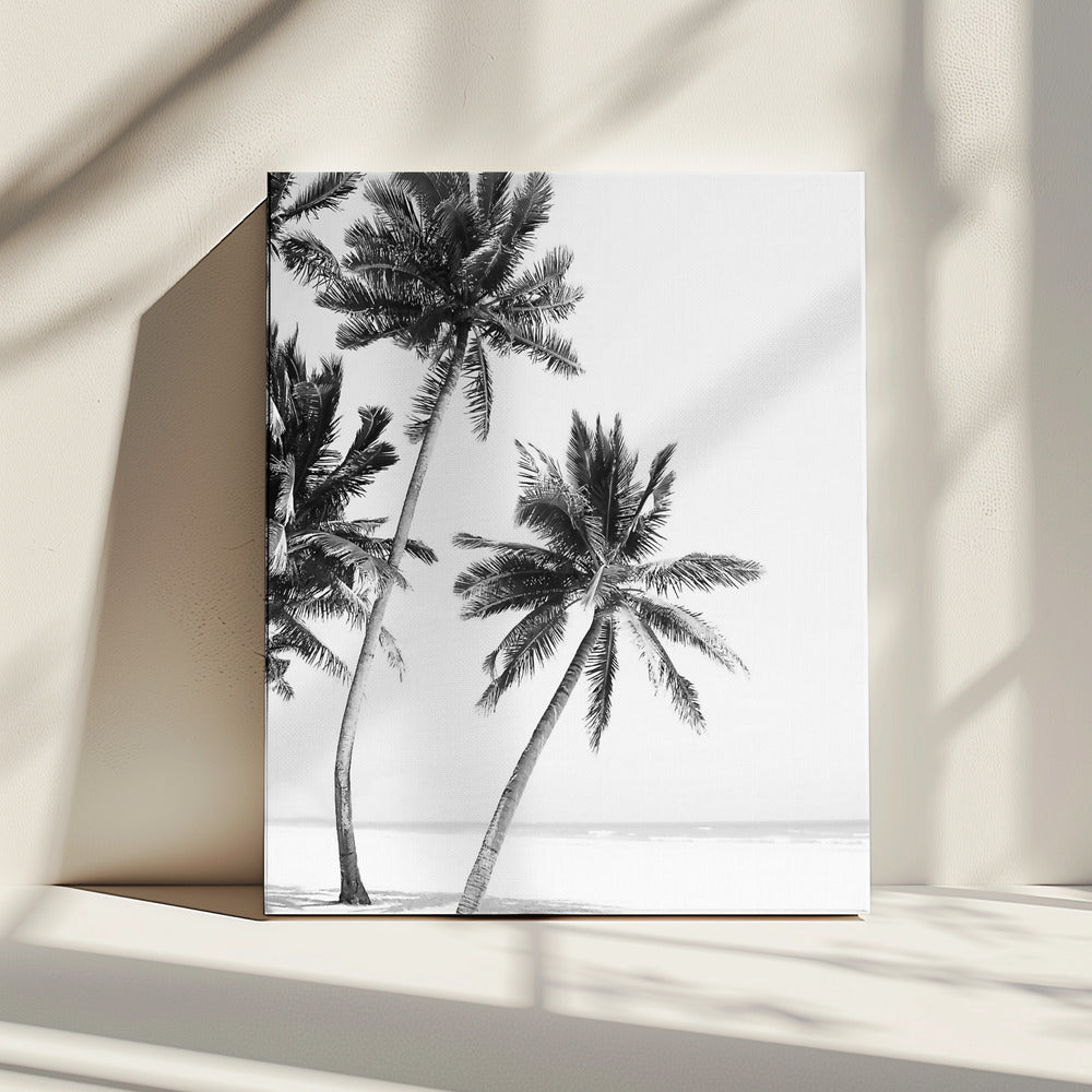 Island | Canvas