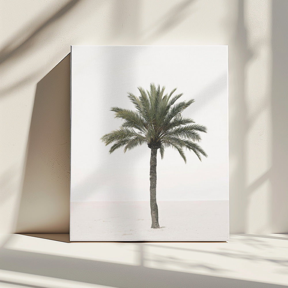Palm | Canvas