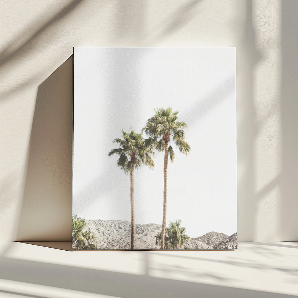 Palm Springs Palms | Canvas